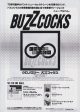 Buzzcocks 1997 08 Chonology Japan album promo ad Online