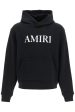 Amiri Amiri Core Hooded Sweatshirt Online